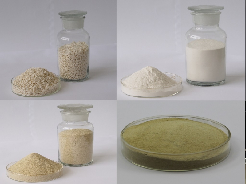 What is sodium alginate?