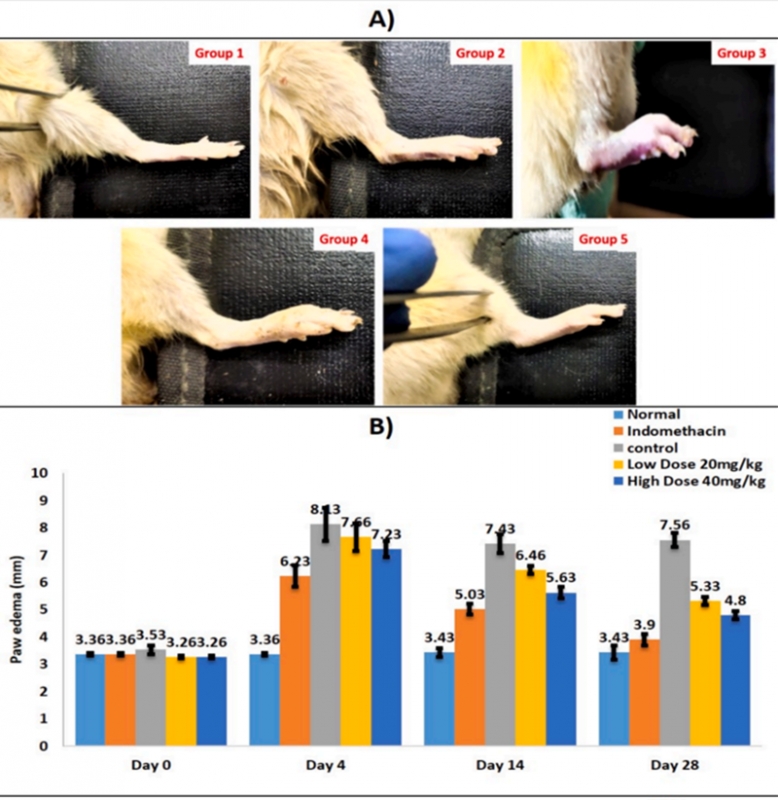 Fucoidan exhibits remarkable anti-arthritis effects