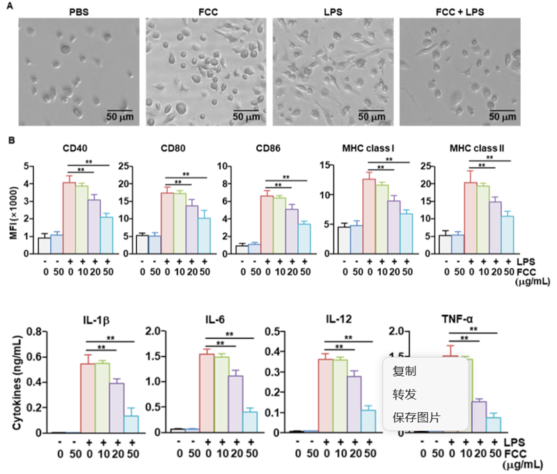 Fucoidan performs good anti-inflammatory effect