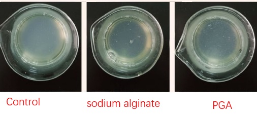 sodium alginate VS propylene glycol alginate.jpg