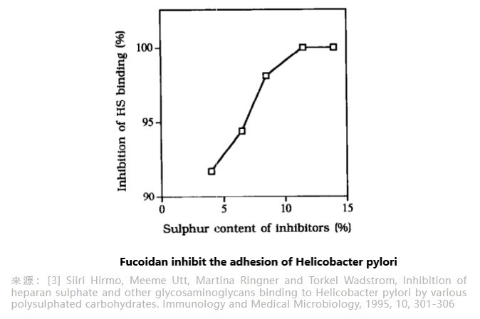 fucoidan inhibit the adhesion of of Helicobacter pylori.jpg