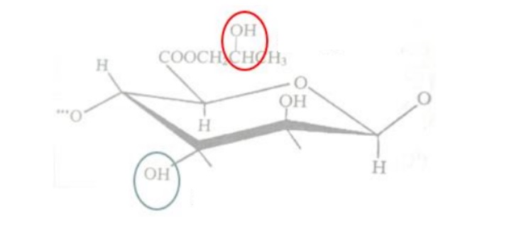 PGA structure.jpg