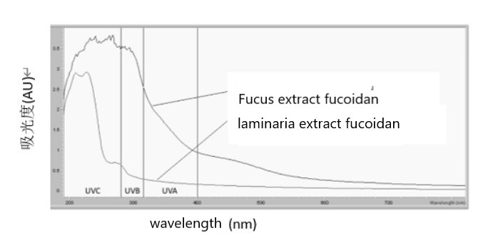 fucoidan for skin.jpg