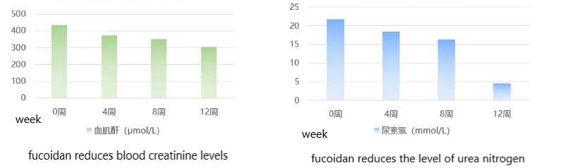 fucoidan Improve chronic renal impairment.jpg