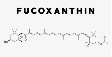 fucoxanthin structure.jpg